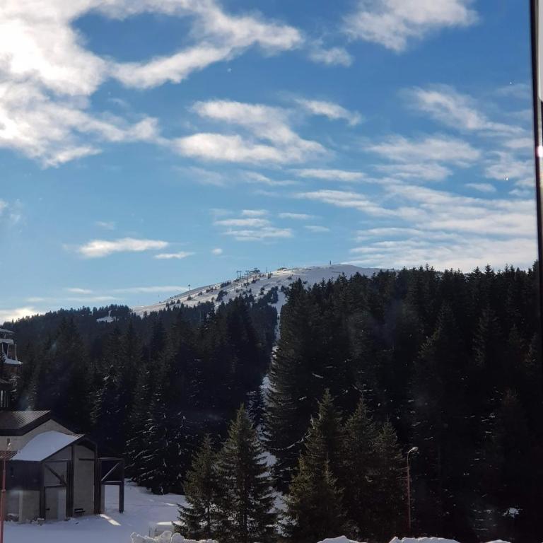 Apartman Skyline Kopaonik - One-Bedroom Apartment - 19