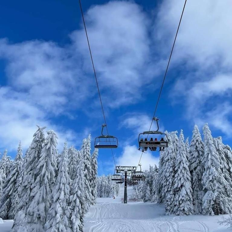 Apartman Skyline Kopaonik - One-Bedroom Apartment - 20