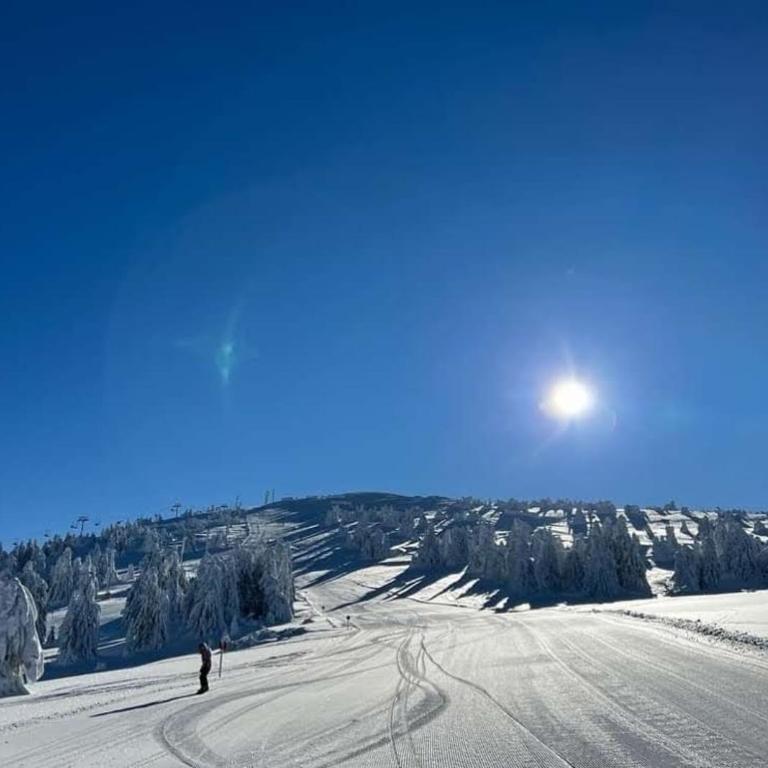 Apartman Skyline Kopaonik - One-Bedroom Apartment - 21