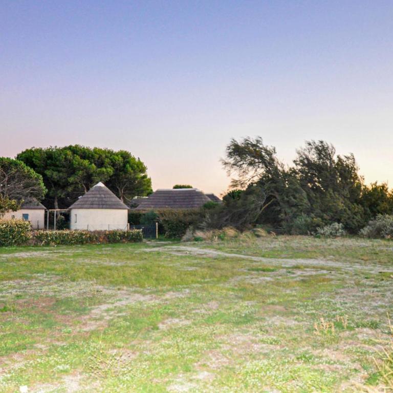 Pet Friendly Home In Le Barcarès - Maison de Vacances 2 Chambres - 30