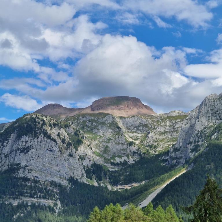 Marmot Apartment - Maisonette-Apartment - 44