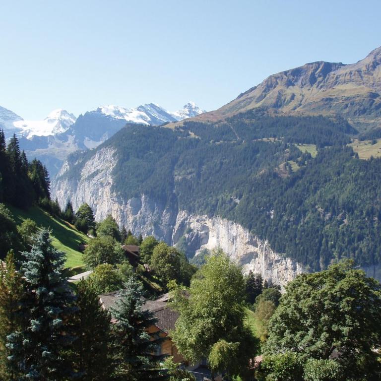 Chalet Eigersunne 2 - Apartment mit 3 Schlafzimmern - 5