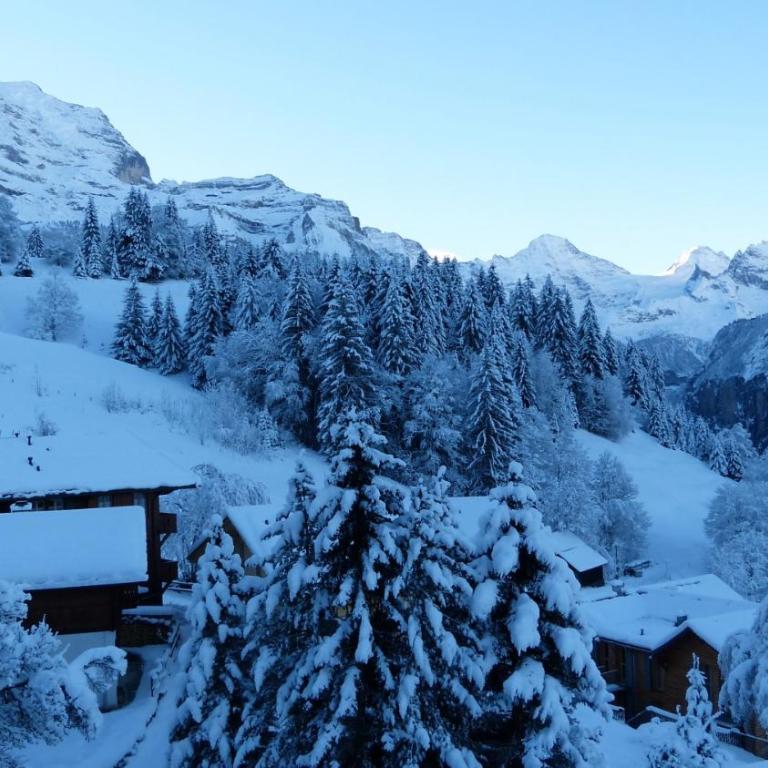 Chalet Eigersunne 2 - Apartment mit 3 Schlafzimmern - 15