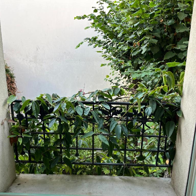 La Villa d'Auteuil, Paris 16 - Chambre Lit Queen-Size - Vue sur Jardin - 13