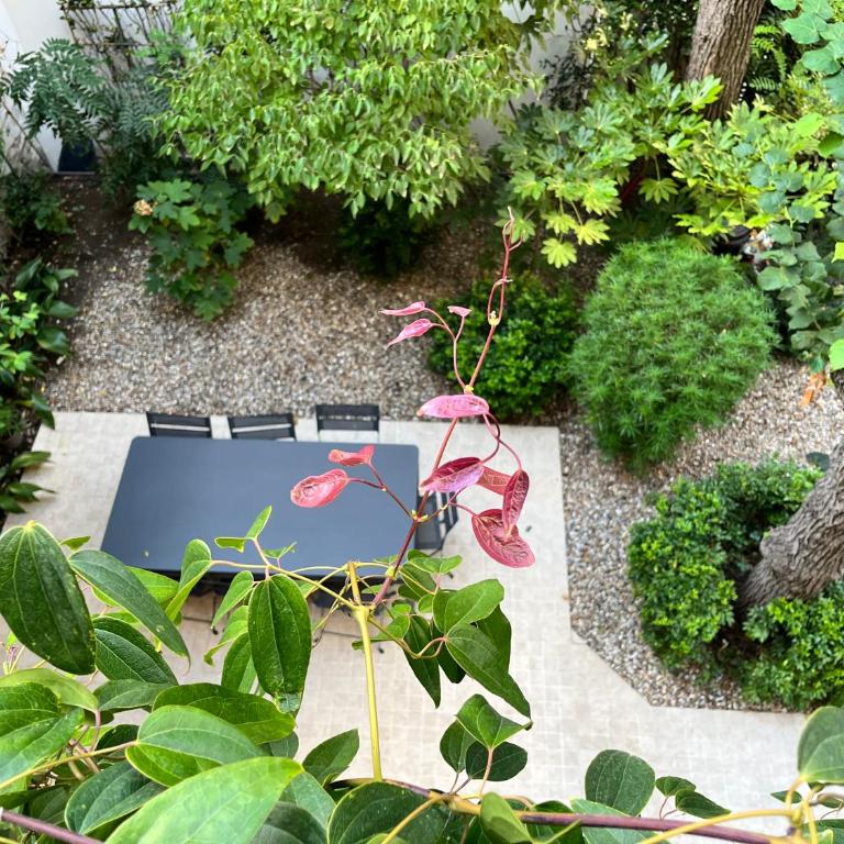 La Villa d'Auteuil, Paris 16 - Chambre Lit Queen-Size - Vue sur Jardin - 14