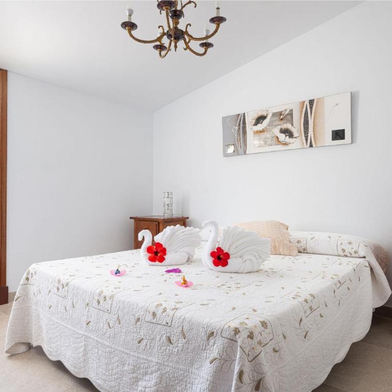 Villa Roses - Alcúdia - Casa de 4 dormitorios - 12
