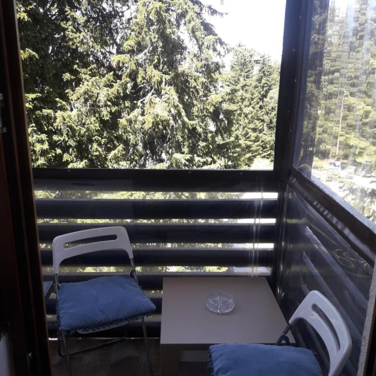 VILA BJANKA 205 - Family Studio - 17