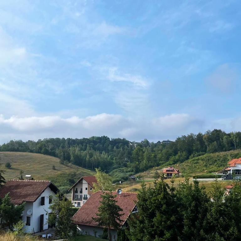 Apartman Stefan Zlatibor - Apartman sa Pogledom na Bazen - 34