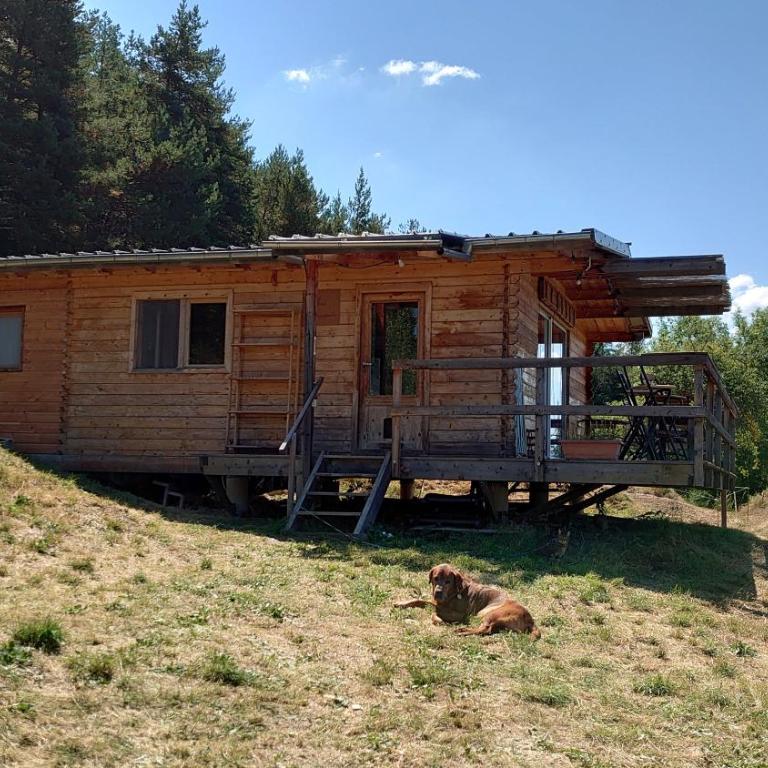 Les Chatcureuils - Chalet - 3