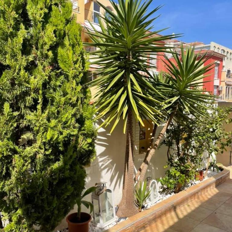 CASA DEL SOL-Playa de la Mata-Torrevieja - Casa de 3 dormitorios - 16