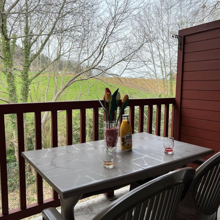 Appartement T2 calme avec terrasse et parking - 3 couchages - Appartement 1 Chambre - 13