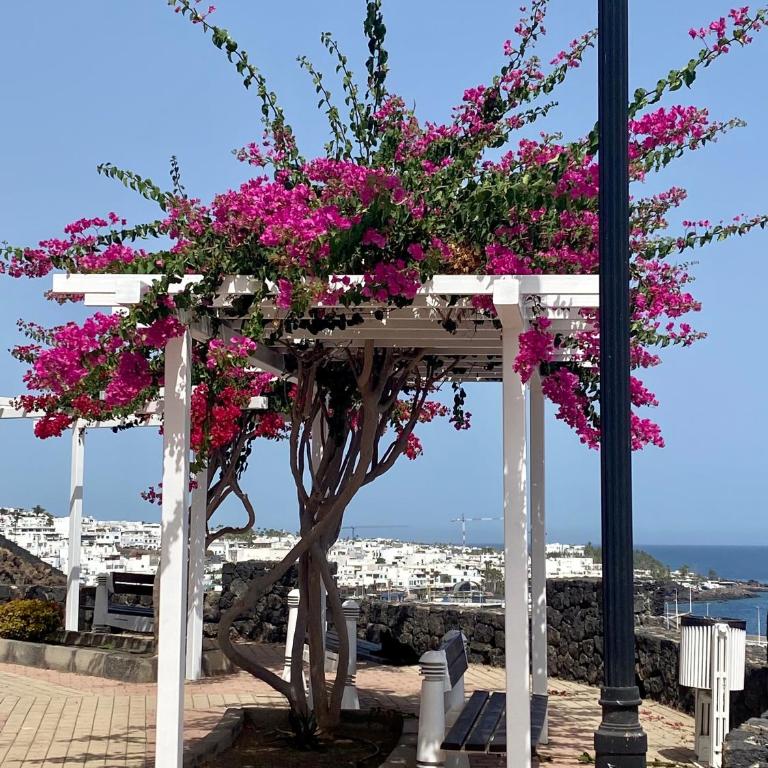 Casa Josephine Lanzarote, spectacular sea views & FREE WiFi - Two-Bedroom Apartment - 20