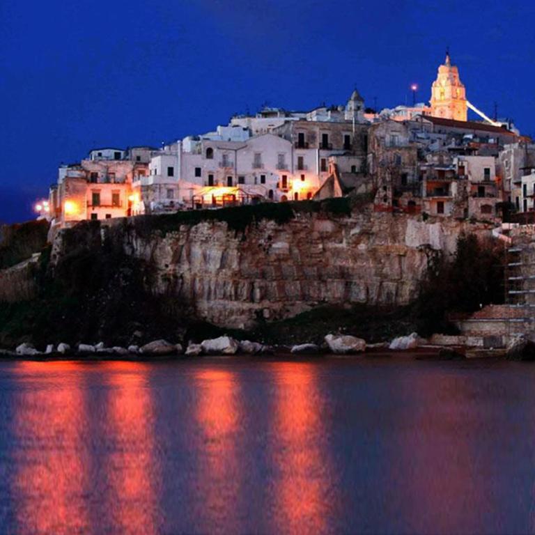 Alloggio Vieste Centro - Dizzy Studio Home - Monolocale - Seminterrato - 20
