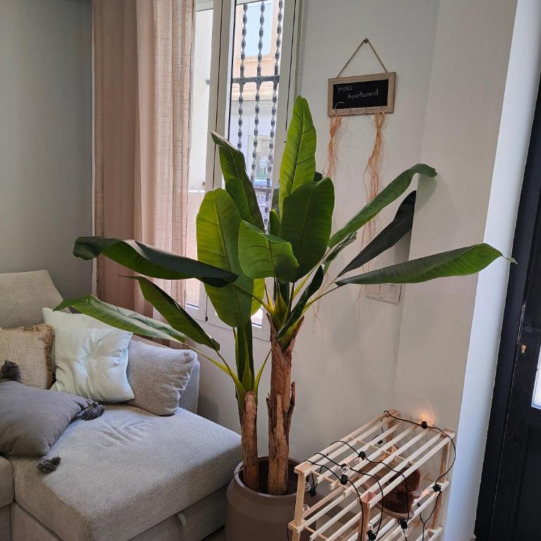 Hola Apartament Alicante - Apartamento de 2 dormitorios - 16