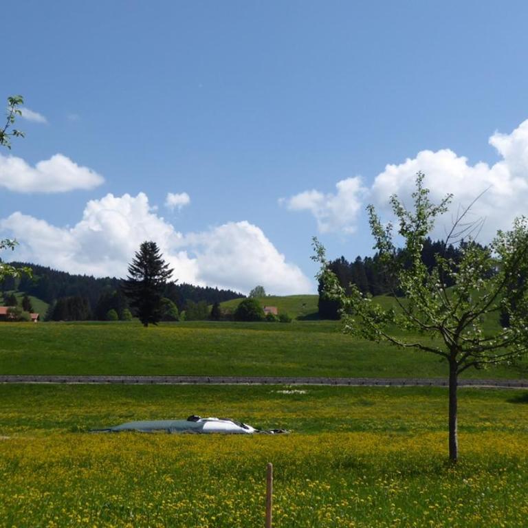 Ferienwohnungen Rössle - Apartment mit 3 Schlafzimmern - 10
