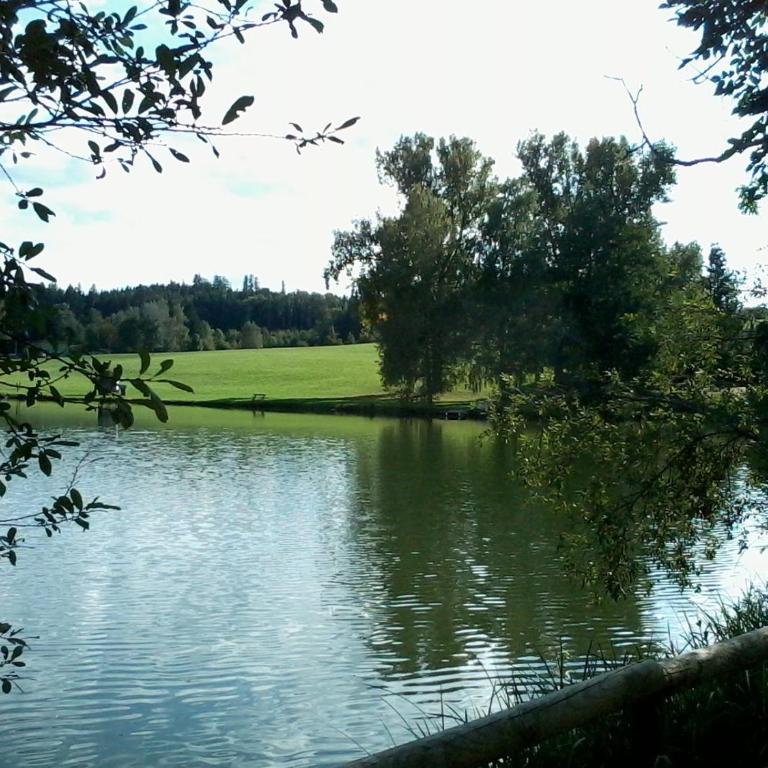FeWo HoLiDay HouSE Allgäu - Ferienhaus - 43