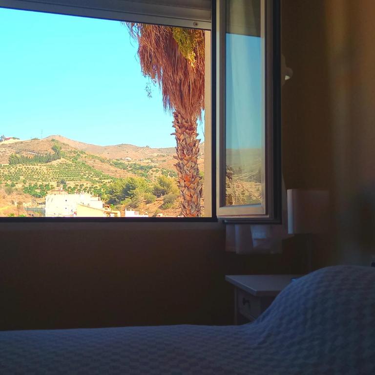 Apartamento Las Maravillas 1 - Two-Bedroom Apartment - 6