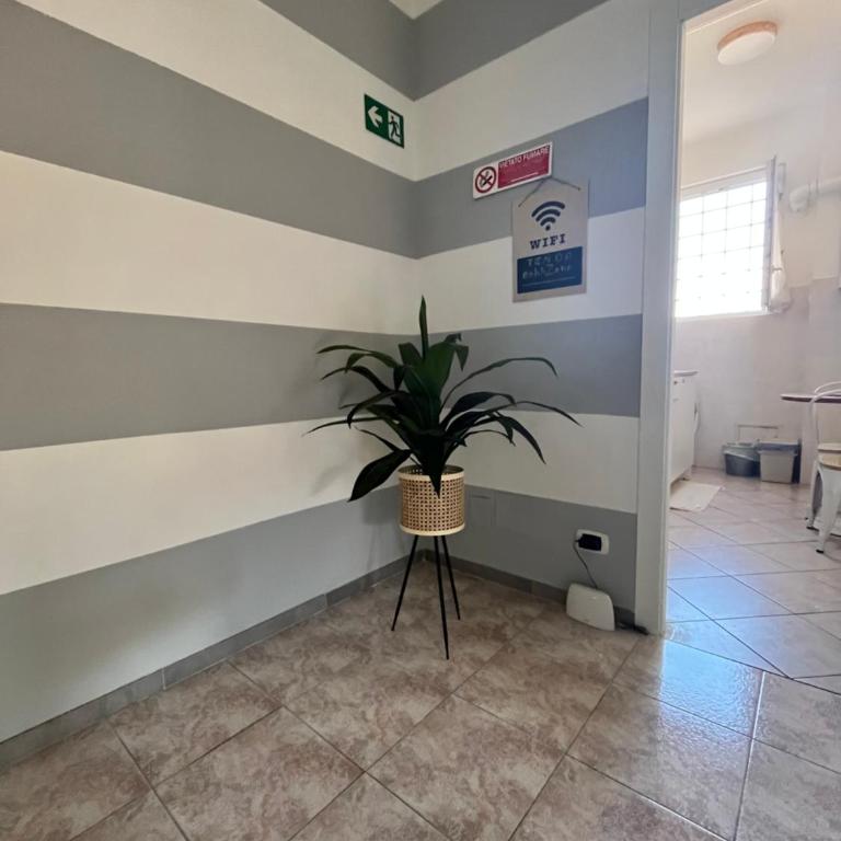 Casa Vacanze Carmelita Centro-Stazione - Casa con 1 Camera da Letto - 10