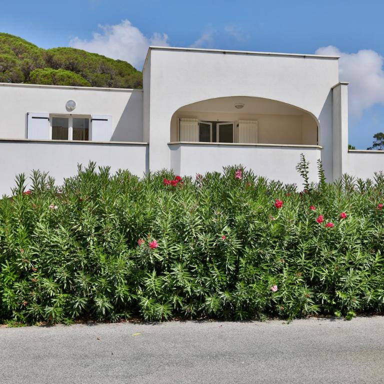 Beach Cannes Bungalows - Holiday Apartments near Cannes - Appartement avec Terrasse - 8