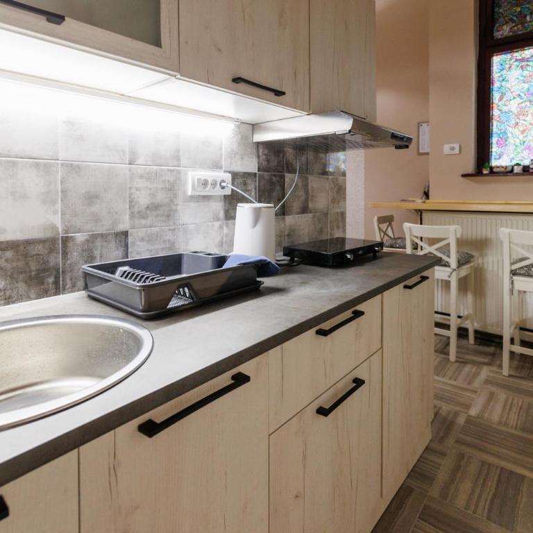 Apartments Borovo - Studio - 6