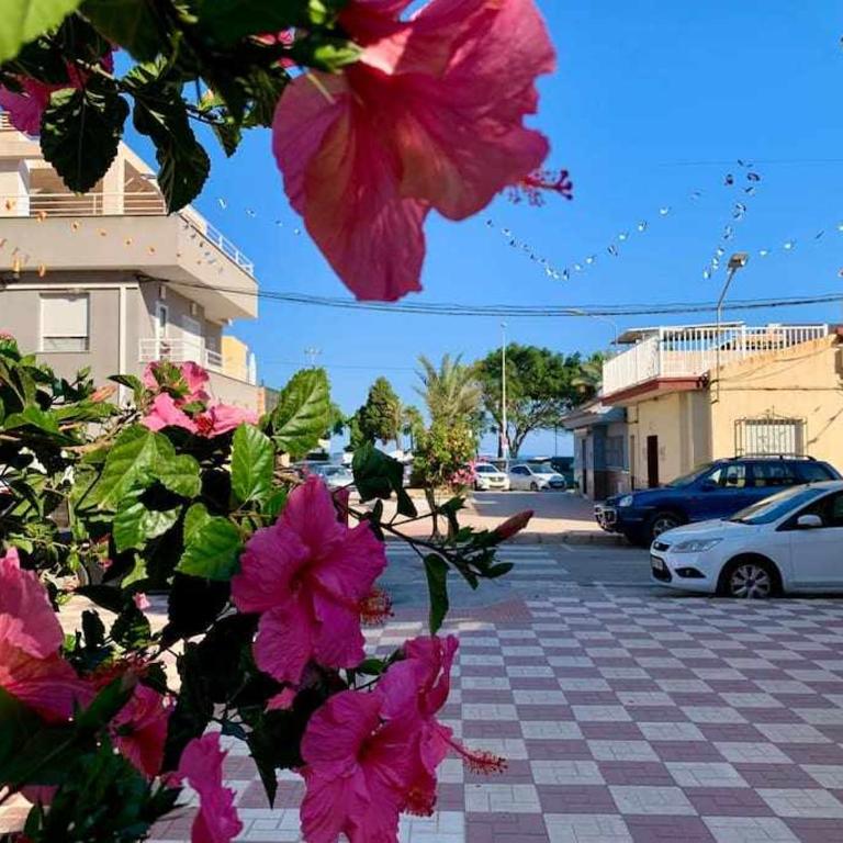 En la 2a línea en Torre del Mar - Apartamento de 2 dormitorios - 32