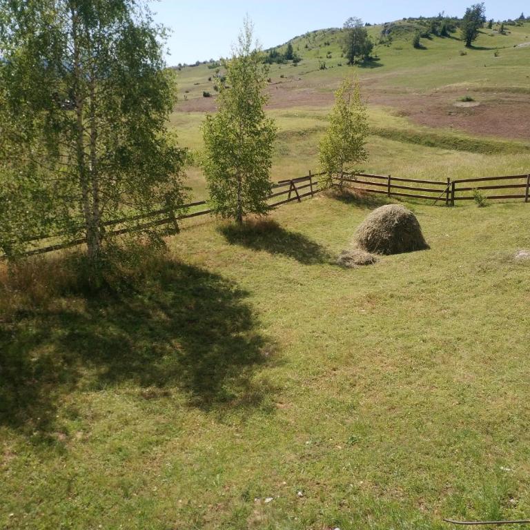 Grand Rabbit House on the Hillock - Three-Bedroom Apartment - 18