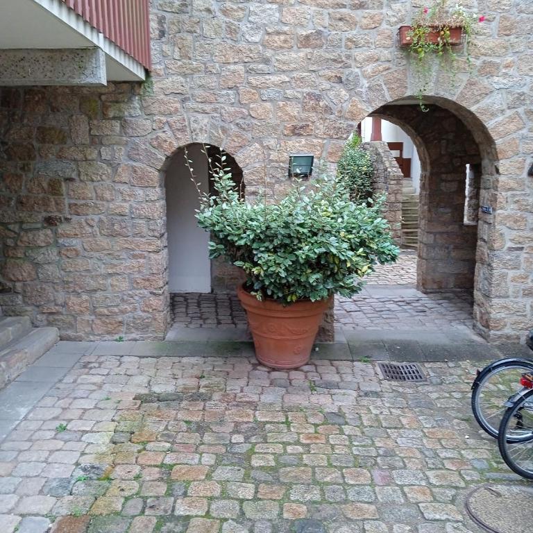 L'Aigue-Marine emplacement parfait, parking privé - Appartement 1 Chambre - 48