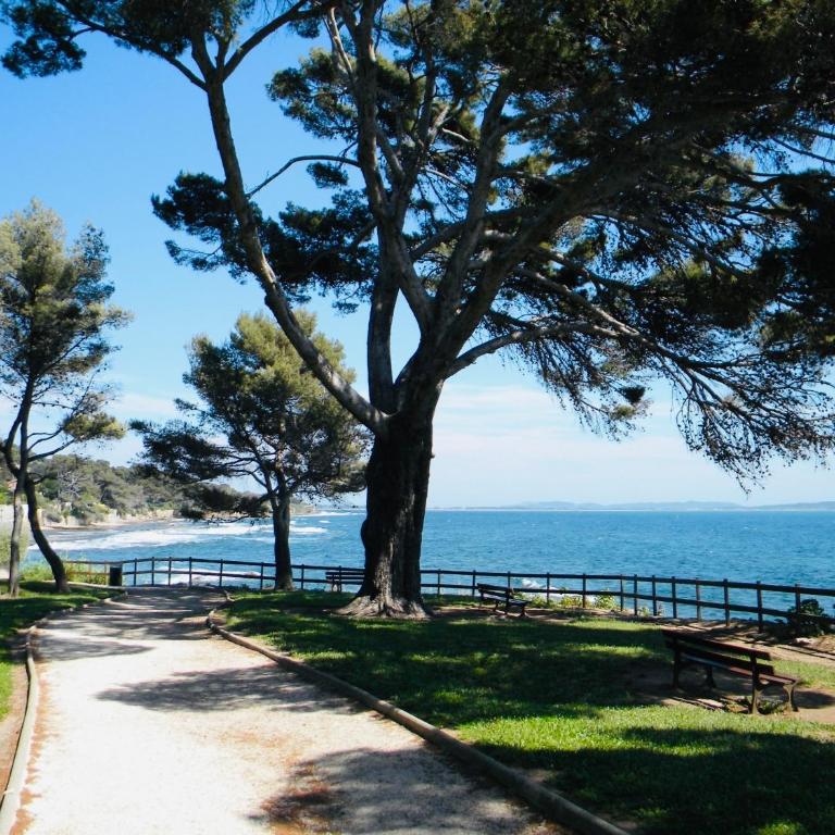 Jolie studio climatisé avec parking et proche de la mer - Appartement 1 Chambre - 8