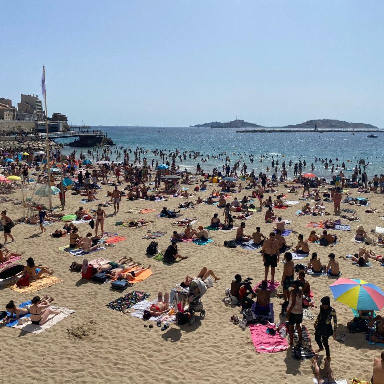 Votre écrin pour un agréable séjour à Marseille ! - Appartement 1 Chambre - 33