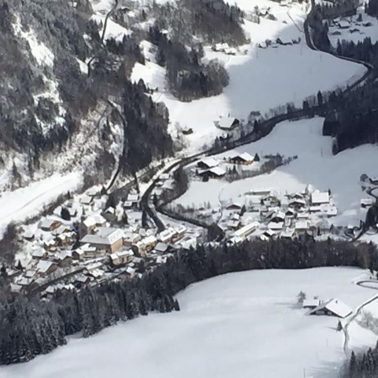 Spacious Ski Chalet In Traditional French Village, sleeps 8, Four Star with fibre broadband - Chalet - 21
