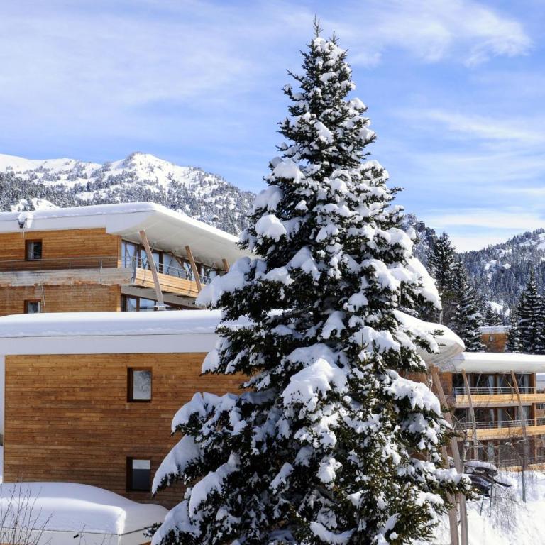 Au pays des marmottes Appartement 6 personnes plein sud sans vis à vis avec terrasse - Apartment mit 2 Schlafzimmern - 1