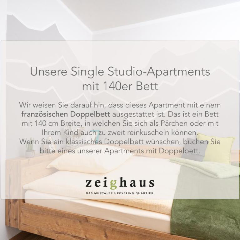 Zeighaus Murtal - Appartamento Monolocale - 8