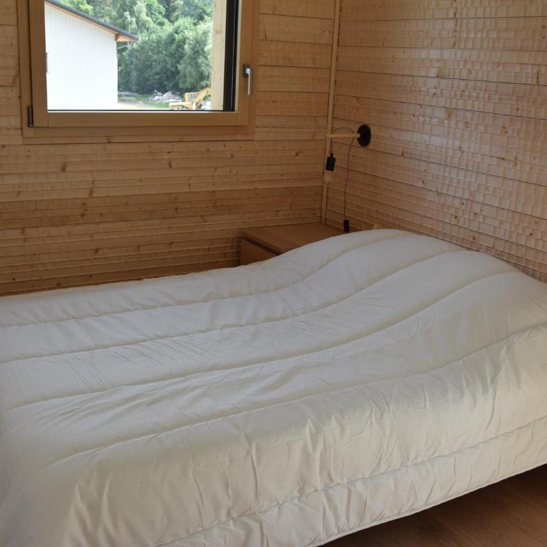 Chalet moderne à Pralognan, proche centre - FR-1-464-188 - Chalet 3 Chambres - 4