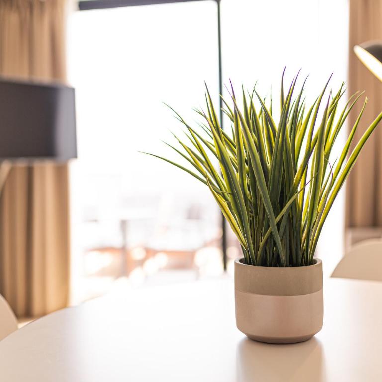 Jable suites apartamentos de lujo en el centro - Apartamento Ático - 11