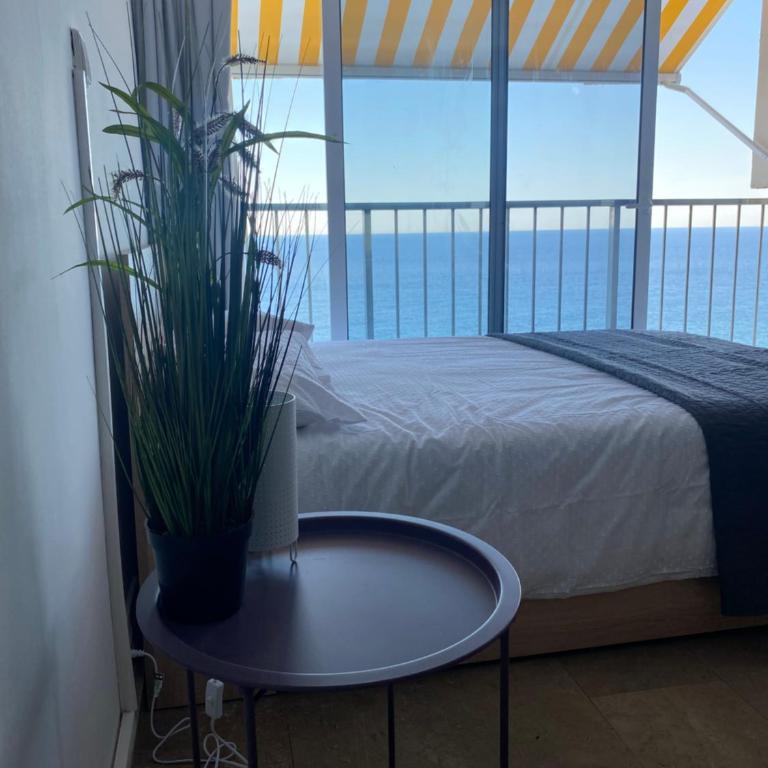 Sunrise beach palace studio - Apartamento de 1 dormitorio - 3