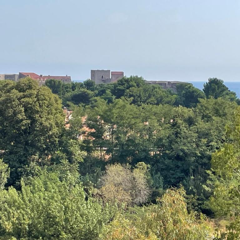 Collioure, bel appartement de 40m2 avec balcon et parking - Apartment mit 2 Schlafzimmern - 26