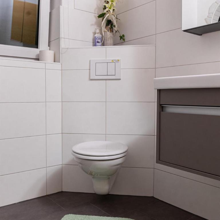 Ferienwohnungen Hinterstein - Apartment mit 1 Schlafzimmer - 16