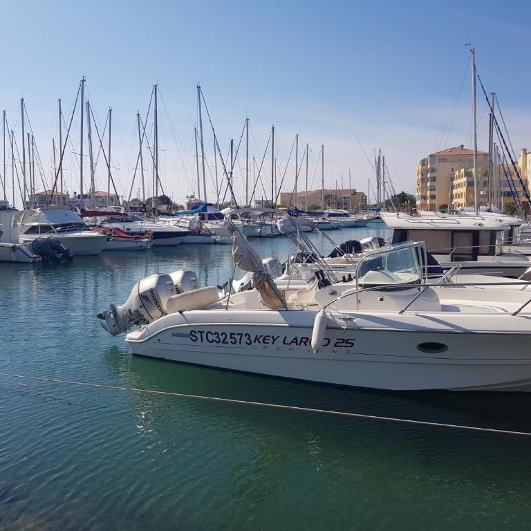 La Galiote, T2 vue port, terrasse et parking - Appartement 1 Chambre - 1