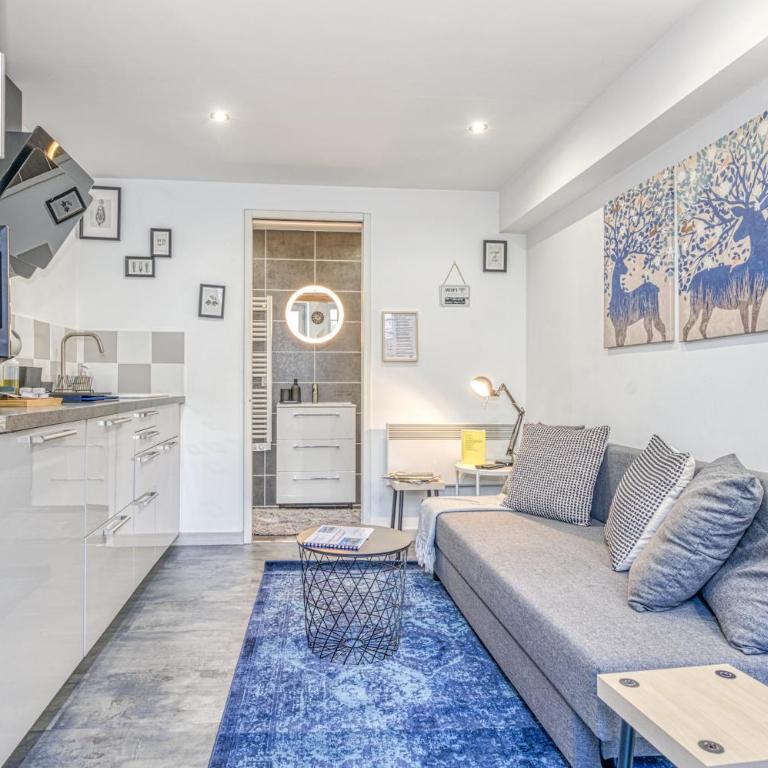 Le Petit Parfait Confort Gare Hamac Netflix - Appartement 1 Chambre - 10
