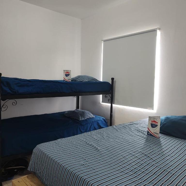 Lovely Apartment HOEStel Pedreira! - Three-Bedroom Apartment - 24