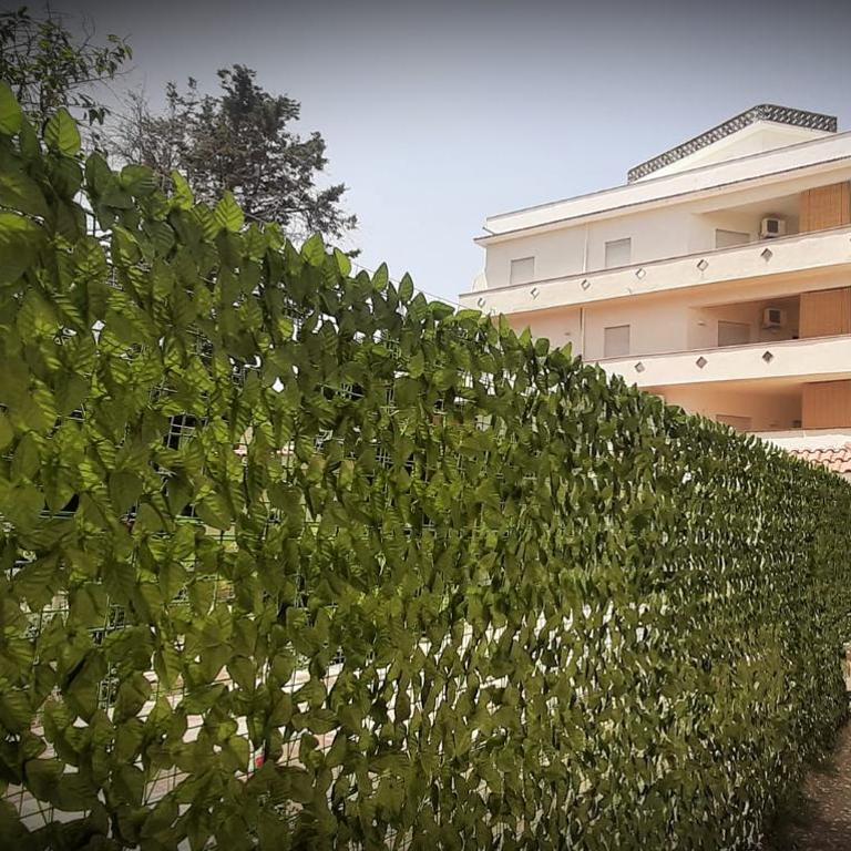 Perla Home Speciale Cous Cous fest di San Vito lo Capo 2026, Casa perfetta per gruppi coppie e famiglie vivi la Sicilia a modo tuo - Apartment mit 2 Schlafzimmern - 37