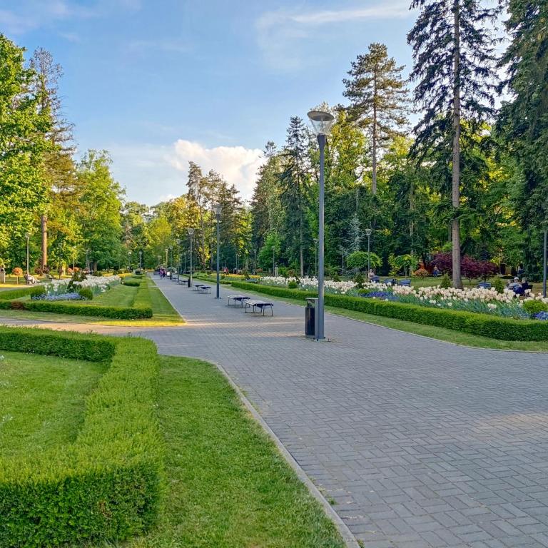 Magic Dream Lux apartman - Apartment with Terrace - 45