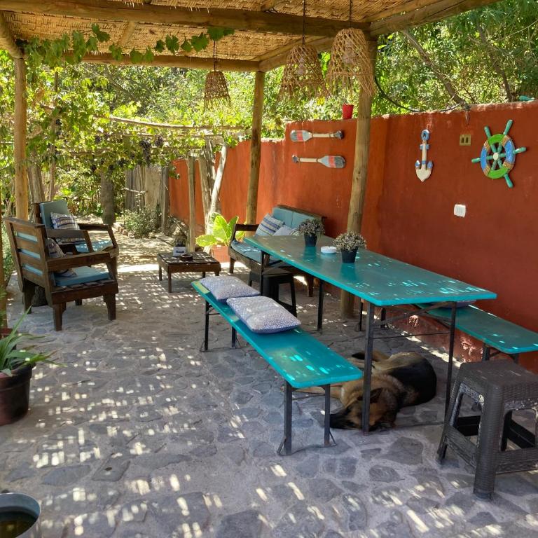 Casa campestre Valle del Elqui - Casa de 3 dormitorios - 7