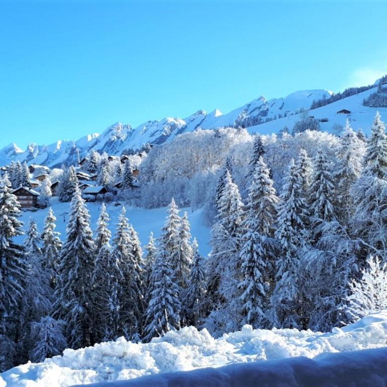 Appartement ski aux pieds, 2 chambres, terrasse et parking couvert - La Clusaz - FR-1-459-49 - Appartamento (6 Adulti) - 3