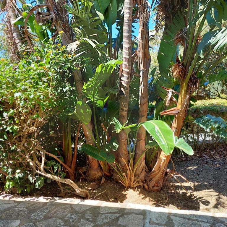 Villa Maricetta - Casa con 3 Camere da Letto - 32