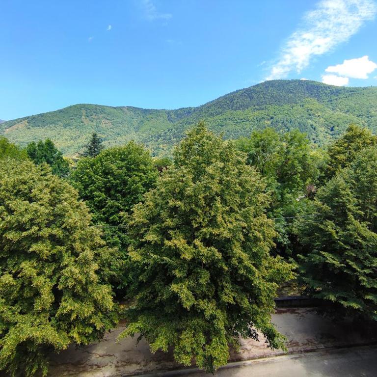 T3 Les Jardins de Ramel, parking, balcon, ascenseur, 5 personnes - Two-Bedroom Apartment - 12