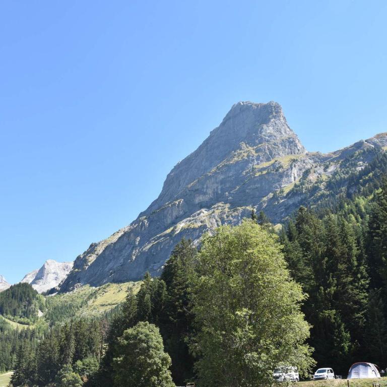 Chalet moderne à Pralognan, proche centre - FR-1-464-188 - Chalet 3 Chambres - 12