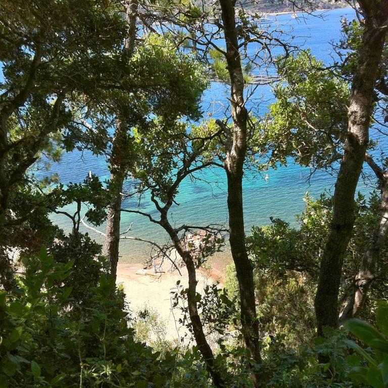 Nirvana Loft - Appartement - Vue sur Mer - 20