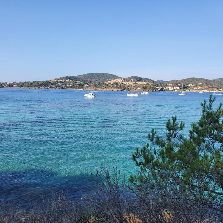 Village Cap Estérel Agay St Raphaël vue mer et piscine - Appartement 1 Chambre - 23