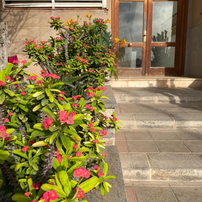 La Isla House 5 minuti Centro-Spiaggia Corralejo - Apartamento con balcón - 49